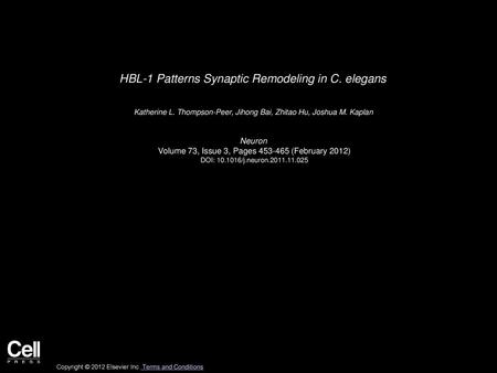 HBL-1 Patterns Synaptic Remodeling in C. elegans