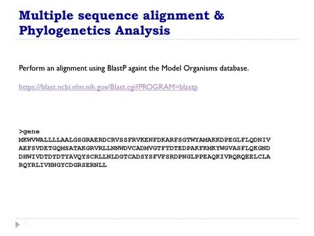 Multiple sequence alignment & Phylogenetics Analysis