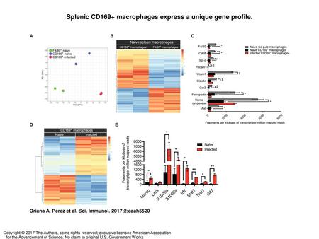 Splenic CD169+ macrophages express a unique gene profile.