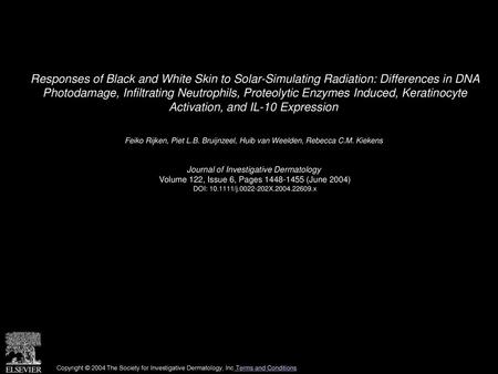 Responses of Black and White Skin to Solar-Simulating Radiation: Differences in DNA Photodamage, Infiltrating Neutrophils, Proteolytic Enzymes Induced,