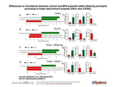 Differences in microbiome between control and BPA-exposed rabbit offspring and dams according to linear discriminant analysis effect size (LEfSe). Differences.