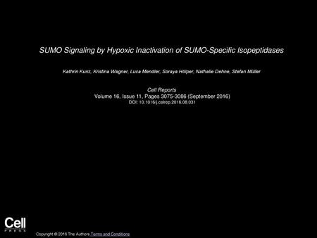 SUMO Signaling by Hypoxic Inactivation of SUMO-Specific Isopeptidases