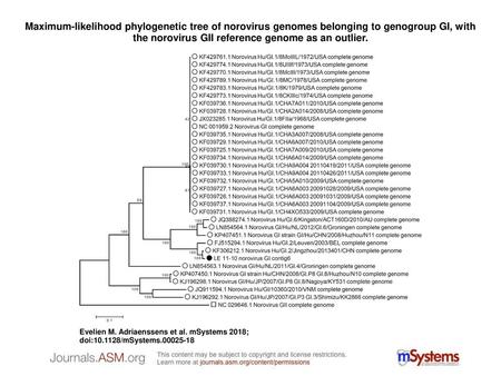 Maximum-likelihood phylogenetic tree of norovirus genomes belonging to genogroup GI, with the norovirus GII reference genome as an outlier. Maximum-likelihood.