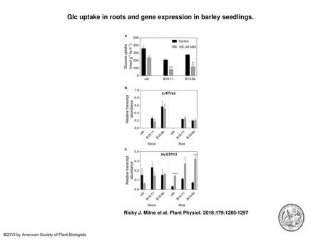 Glc uptake in roots and gene expression in barley seedlings.