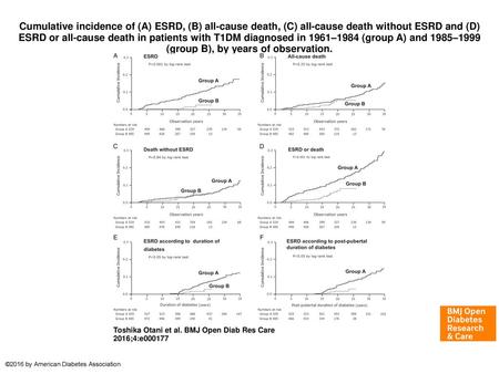 Cumulative incidence of (A) ESRD, (B) all-cause death, (C) all-cause death without ESRD and (D) ESRD or all-cause death in patients with T1DM diagnosed.