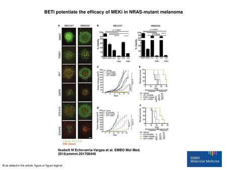 BETi potentiate the efficacy of MEKi in NRAS‐mutant melanoma