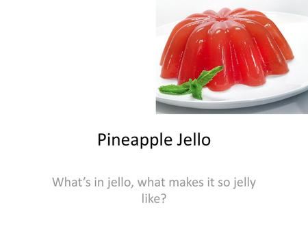 animal crossing pc jello animal crossing pc jello