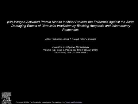 P38 Mitogen-Activated Protein Kinase Inhibitor Protects the Epidermis Against the Acute Damaging Effects of Ultraviolet Irradiation by Blocking Apoptosis.
