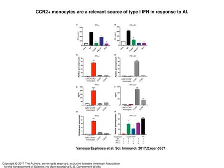 CCR2+ monocytes are a relevant source of type I IFN in response to Af.