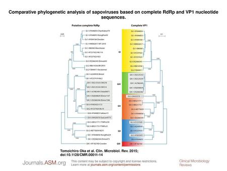 Comparative phylogenetic analysis of sapoviruses based on complete RdRp and VP1 nucleotide sequences. Comparative phylogenetic analysis of sapoviruses.