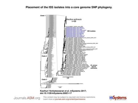Placement of the ISS isolates into a core genome SNP phylogeny.