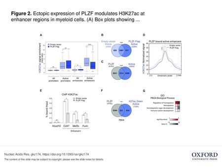 Figure 2. Ectopic expression of PLZF modulates H3K27ac at enhancer regions in myeloid cells. (A) Box plots showing ... Figure 2. Ectopic expression of.