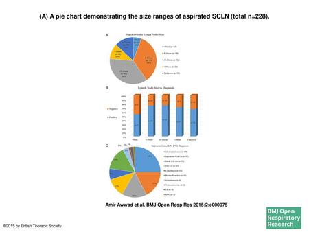 (A) A pie chart demonstrating the size ranges of aspirated SCLN (total n=228). (A) A pie chart demonstrating the size ranges of aspirated SCLN (total n=228).
