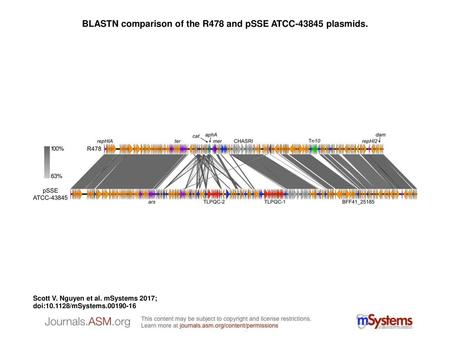 BLASTN comparison of the R478 and pSSE ATCC plasmids.