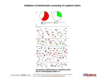 Validation of bioinformatic screening of a patient cohort.