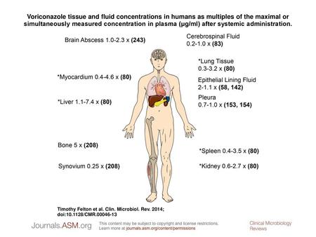 Voriconazole tissue and fluid concentrations in humans as multiples of the maximal or simultaneously measured concentration in plasma (μg/ml) after systemic.