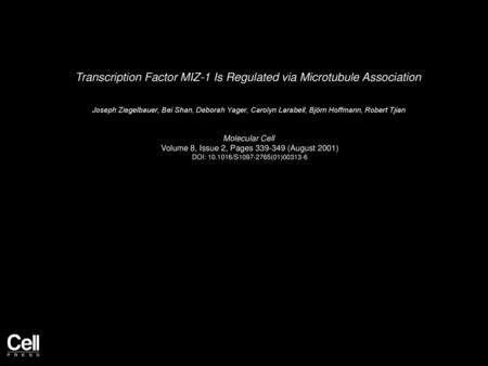Transcription Factor MIZ-1 Is Regulated via Microtubule Association