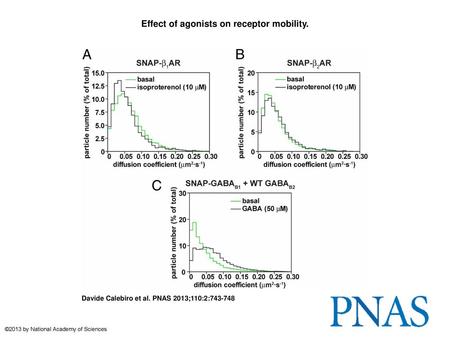 Effect of agonists on receptor mobility.