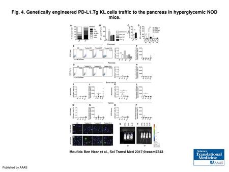 Fig. 4. Genetically engineered PD-L1