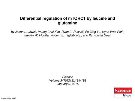 Differential regulation of mTORC1 by leucine and glutamine