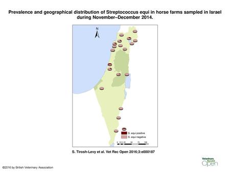 Prevalence and geographical distribution of Streptococcus equi in horse farms sampled in Israel during November–December 2014. Prevalence and geographical.