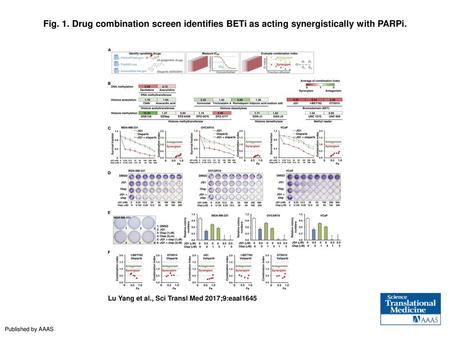 Fig. 1. Drug combination screen identifies BETi as acting synergistically with PARPi. Drug combination screen identifies BETi as acting synergistically.