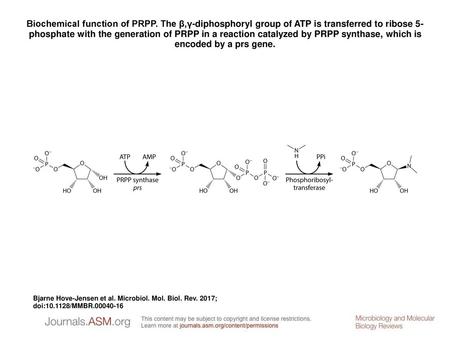 Biochemical function of PRPP