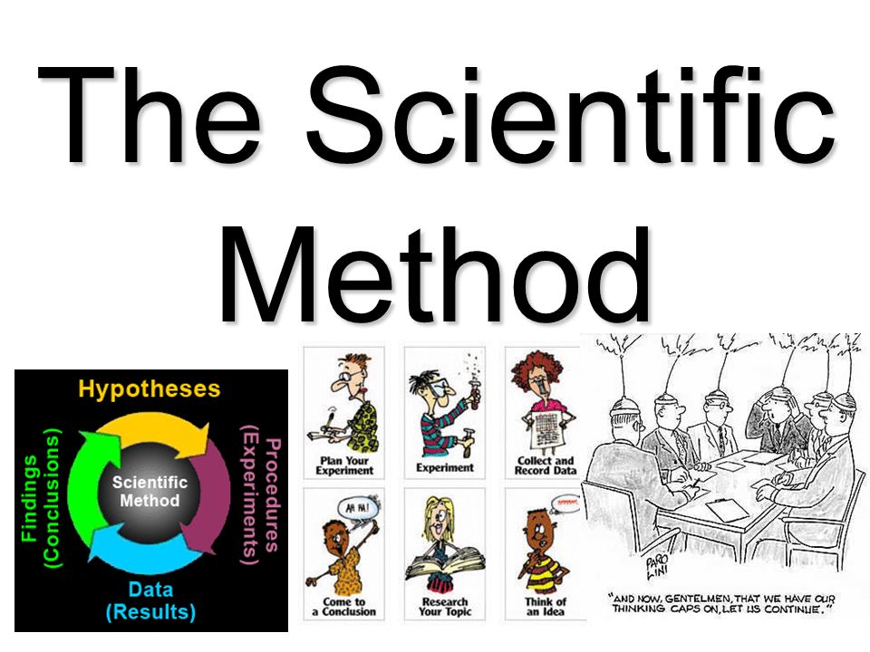 The Scientific Method. Warm Up Unit 1 Day 4 How is a guess different from  an educated guess and how is a theory different from a hypothesis? - ppt  download