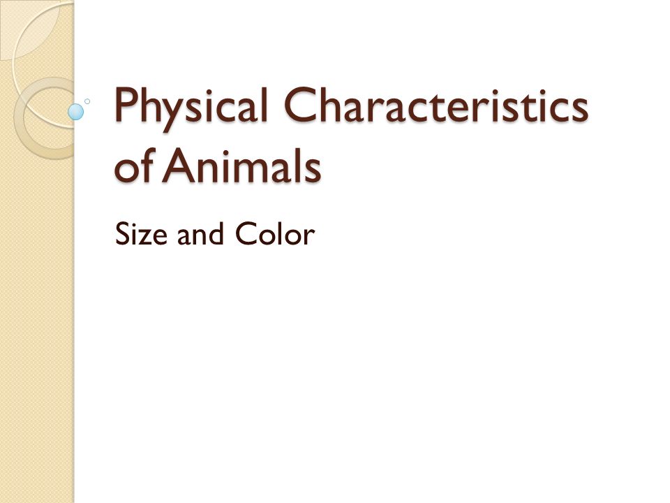 Physical Characteristics of Animals - ppt download