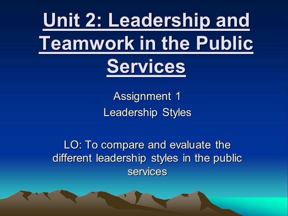 compare the different leadership styles used in the public services