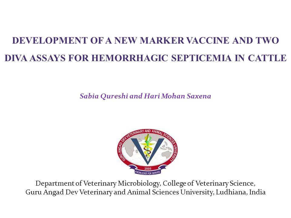 DEVELOPMENT OF A NEW MARKER VACCINE AND TWO - ppt video online download