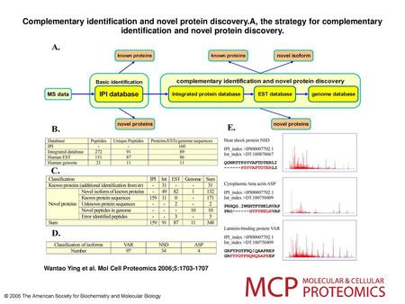 Complementary identification and novel protein discovery