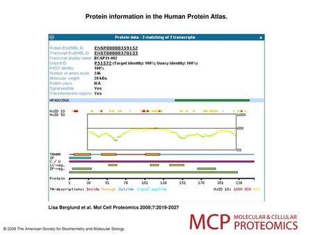 Protein information in the Human Protein Atlas.