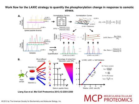 Work flow for the LAXIC strategy to quantify the phosphorylation change in response to osmotic stress. Work flow for the LAXIC strategy to quantify the.