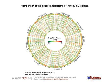 Comparison of the global transcriptomes of nine EPEC isolates.