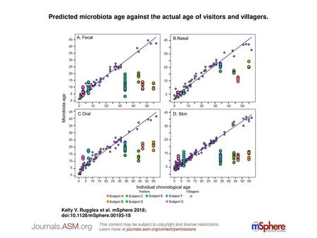 Predicted microbiota age against the actual age of visitors and villagers. Predicted microbiota age against the actual age of visitors and villagers. (A)