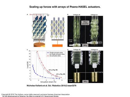 Scaling up forces with arrays of Peano-HASEL actuators.