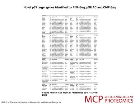 Novel p53 target genes identified by RNA-Seq, pSILAC and ChIP-Seq.