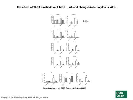 The effect of TLR4 blockade on HMGB1 induced changes in tenocytes in vitro. The effect of TLR4 blockade on HMGB1 induced changes in tenocytes in vitro.