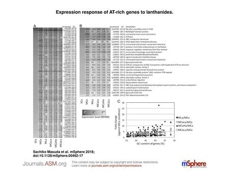 Expression response of AT-rich genes to lanthanides.