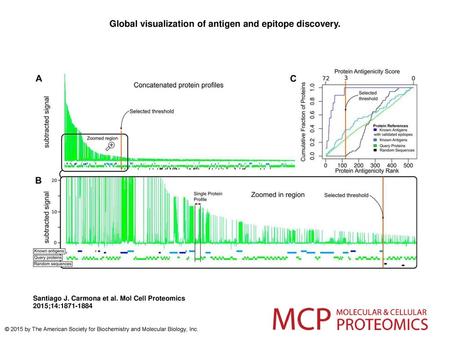 Global visualization of antigen and epitope discovery.