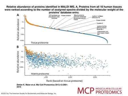 Relative abundance of proteins identified in MALDI IMS