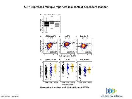 ACF1 represses multiple reporters in a context-dependent manner.