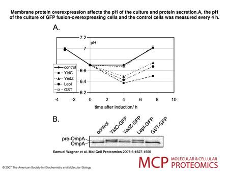 Membrane protein overexpression affects the pH of the culture and protein secretion.A, the pH of the culture of GFP fusion-overexpressing cells and the.