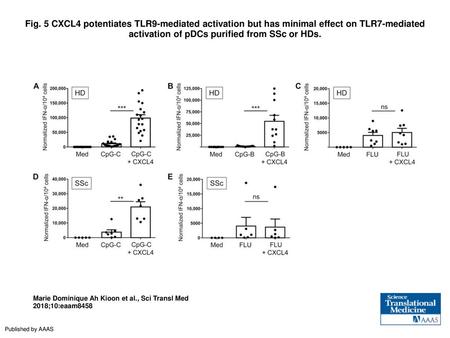 Fig. 5 CXCL4 potentiates TLR9-mediated activation but has minimal effect on TLR7-mediated activation of pDCs purified from SSc or HDs. CXCL4 potentiates.