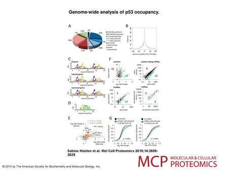Genome-wide analysis of p53 occupancy.