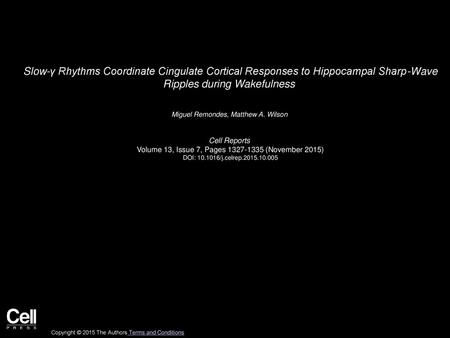 Slow-γ Rhythms Coordinate Cingulate Cortical Responses to Hippocampal Sharp-Wave Ripples during Wakefulness  Miguel Remondes, Matthew A. Wilson  Cell.