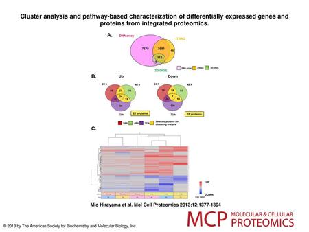 Cluster analysis and pathway-based characterization of differentially expressed genes and proteins from integrated proteomics. Cluster analysis and pathway-based.
