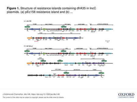 Figure 1. Structure of resistance islands containing dfrA35 in IncC plasmids. (a) pEc158 resistance island and (b) ... Figure 1. Structure of resistance.