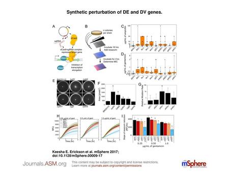 Synthetic perturbation of DE and DV genes.